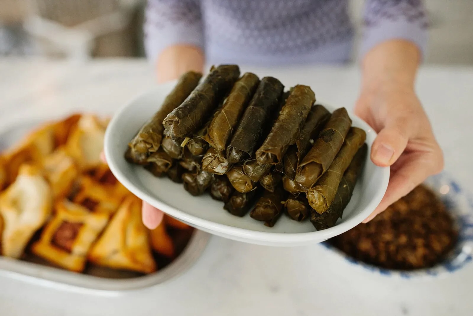 dolma-dolmades-warak-enab-vegetarian-stuffed-grape-leaves-vegan-stuffed-grape-leaves