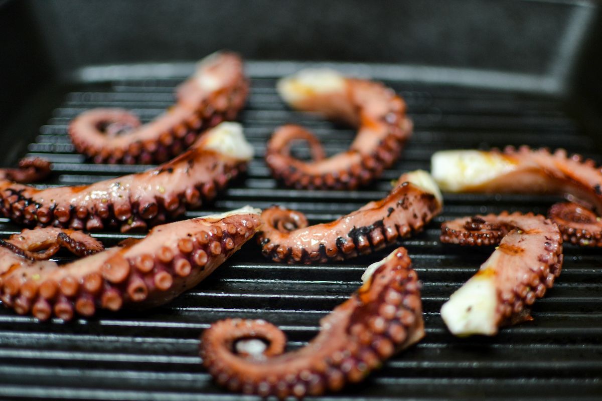 grilled-octopus-tentacles