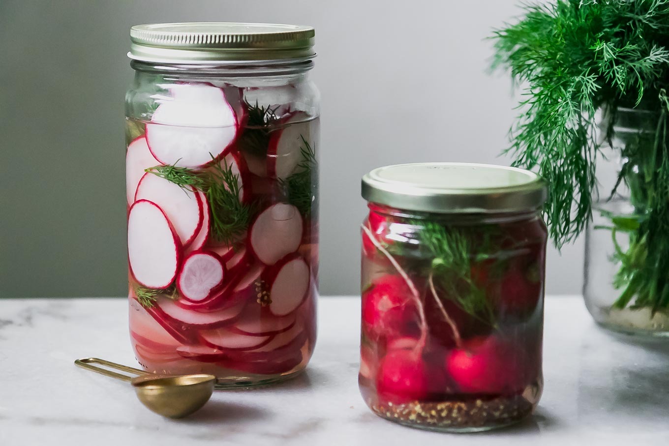 pickled-radishes