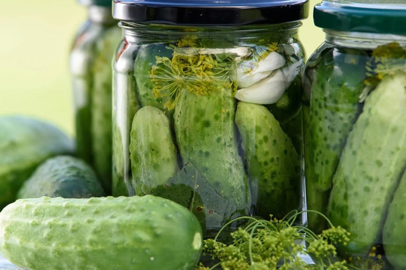 pickled-wild-cucumbers-mikti